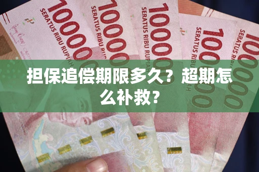 济南担保追偿期限多久？超期怎么补救？