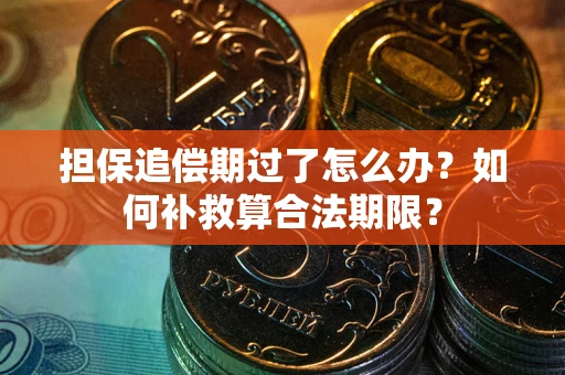 济南担保追偿期过了怎么办？如何补救算合法期限？